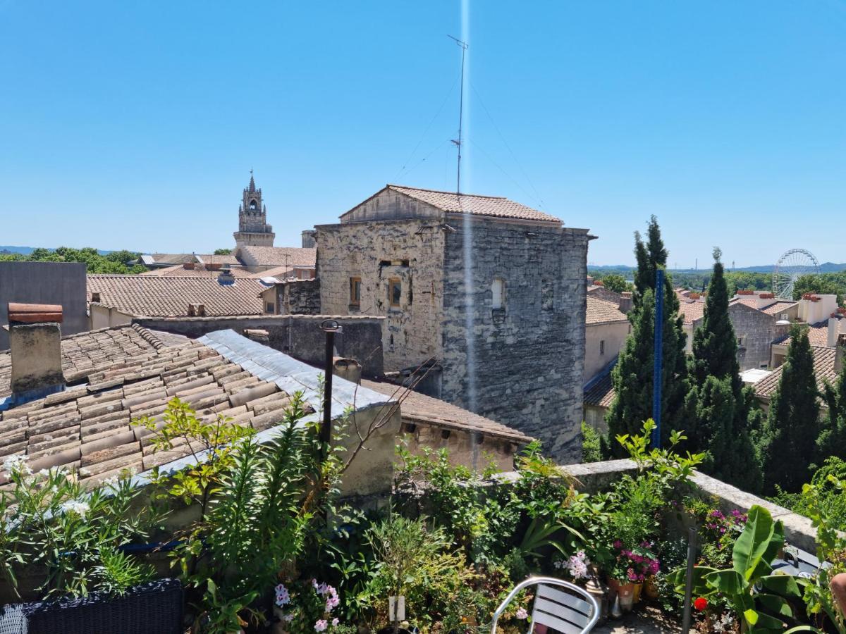 Un Nid Sur Les Toits Face Au Palais Des Papes Lägenhet Avignon Exteriör bild
