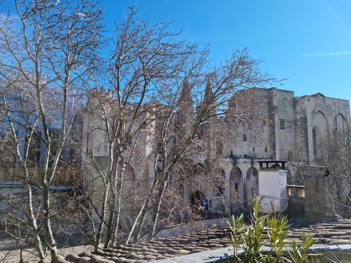 Un Nid Sur Les Toits Face Au Palais Des Papes Lägenhet Avignon Exteriör bild