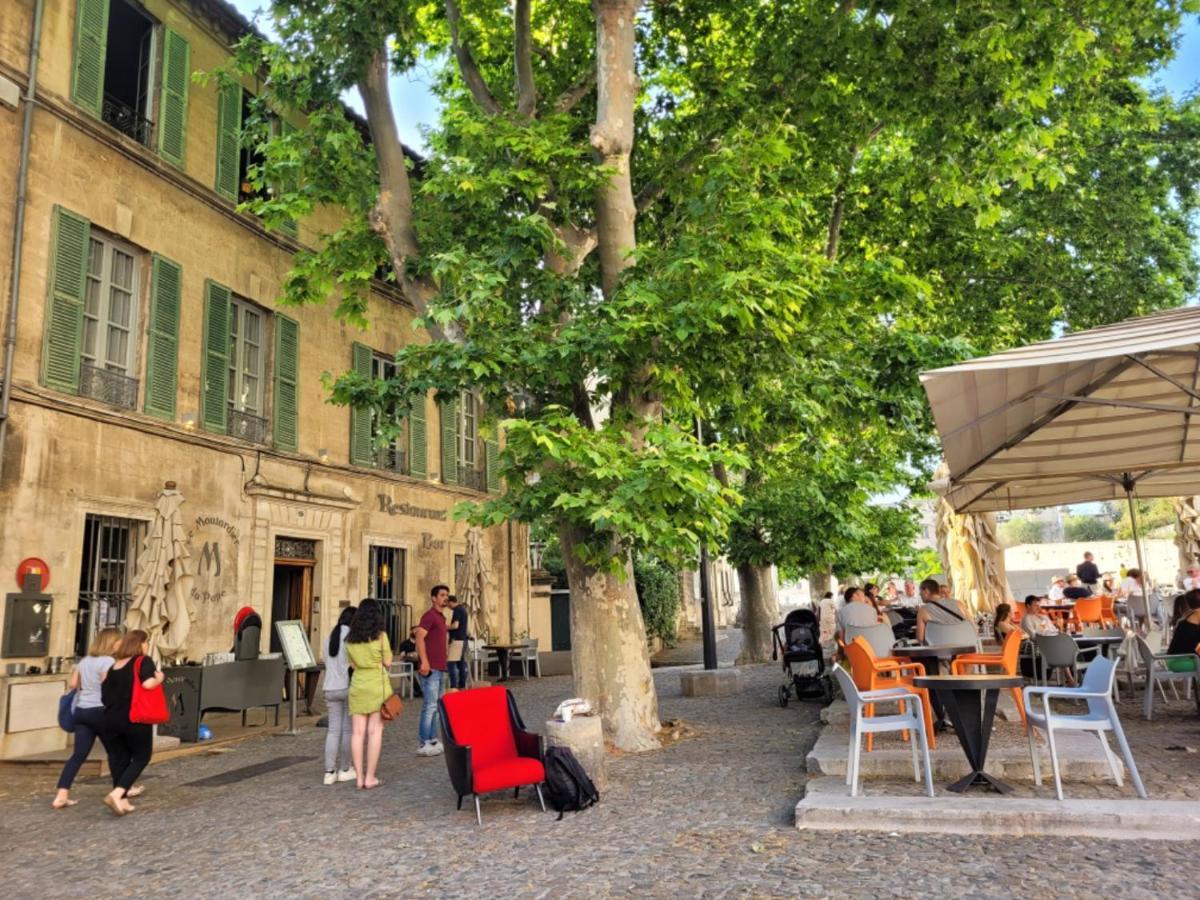 Un Nid Sur Les Toits Face Au Palais Des Papes Lägenhet Avignon Exteriör bild