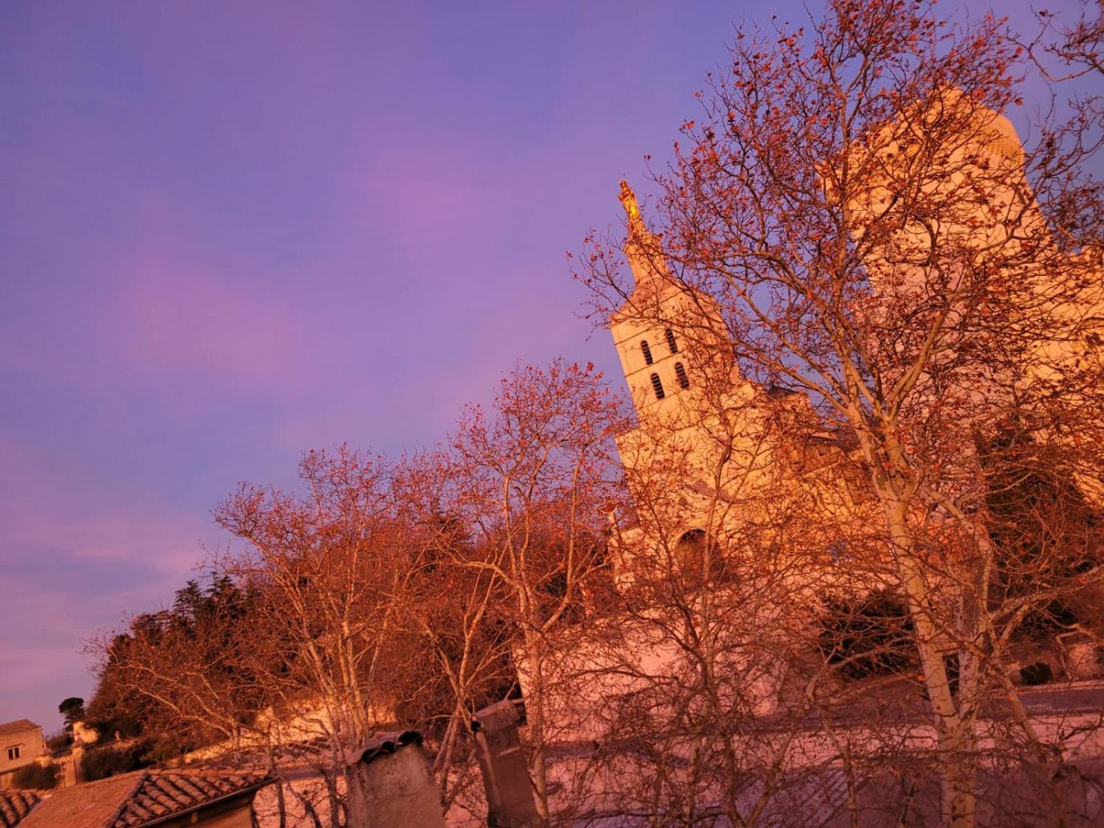 Un Nid Sur Les Toits Face Au Palais Des Papes Lägenhet Avignon Exteriör bild