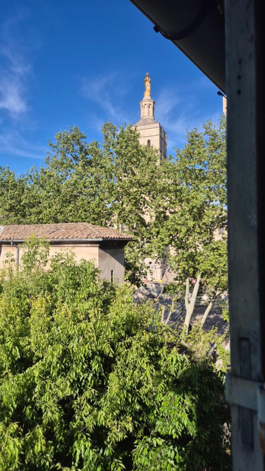 Un Nid Sur Les Toits Face Au Palais Des Papes Lägenhet Avignon Exteriör bild