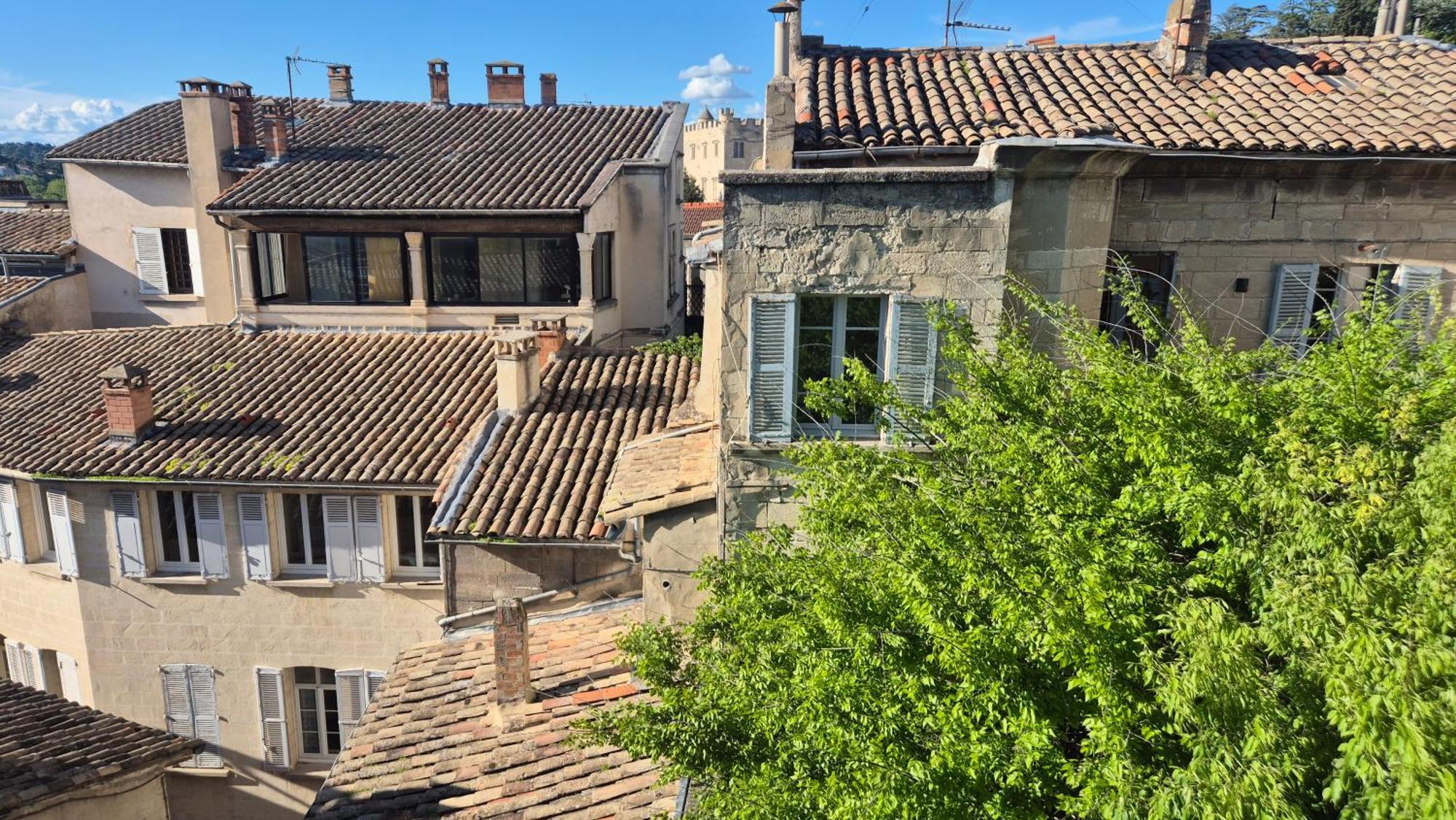 Un Nid Sur Les Toits Face Au Palais Des Papes Lägenhet Avignon Exteriör bild